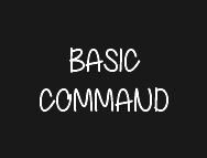  BASIC COMMAND